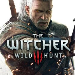 The Witcher 3